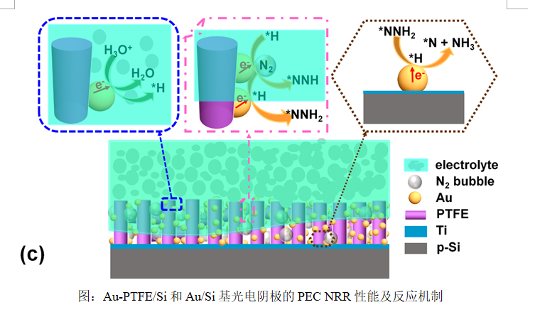 TIM图片20190118130604.png